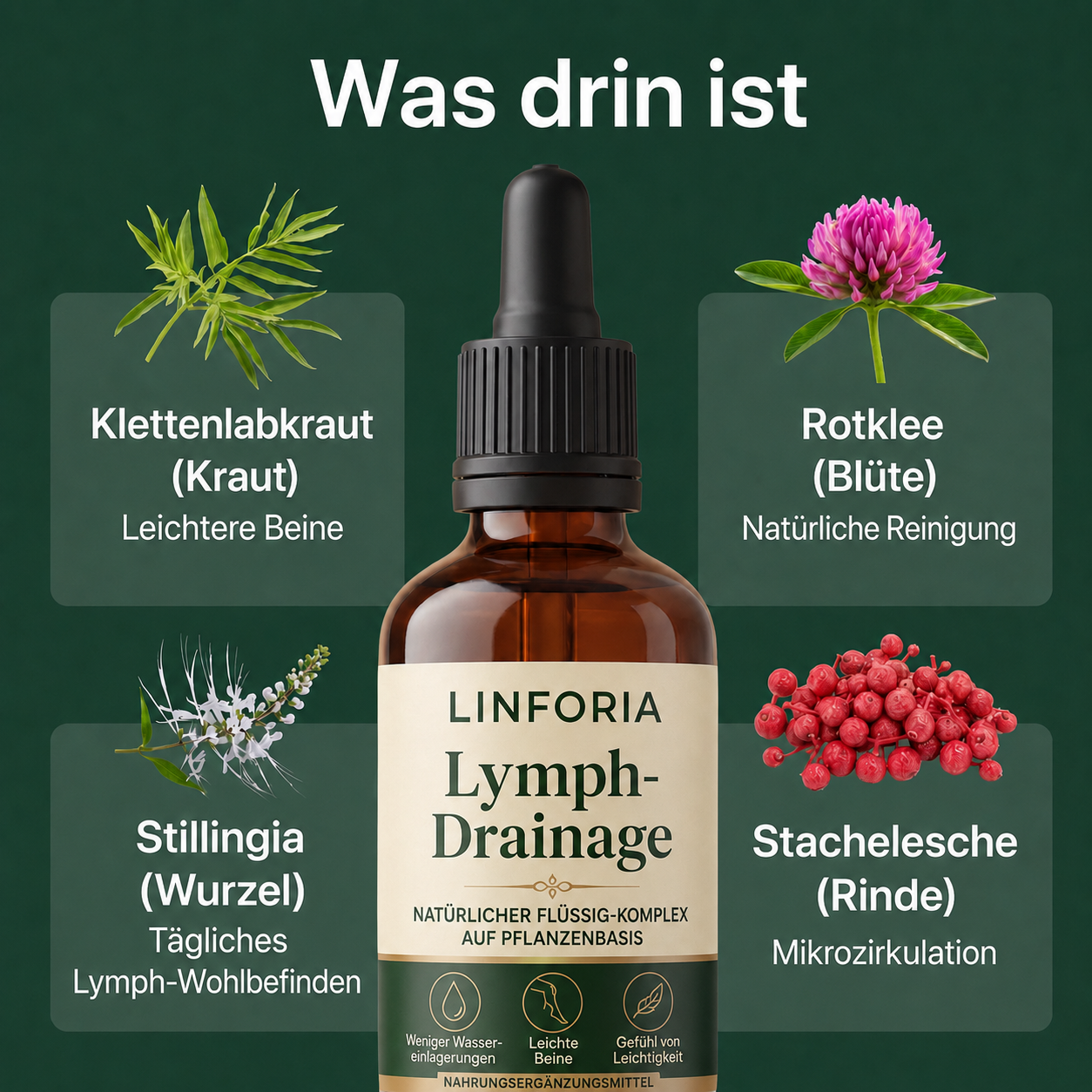 Was drin ist – die 4 Pflanzen von LINFORIA